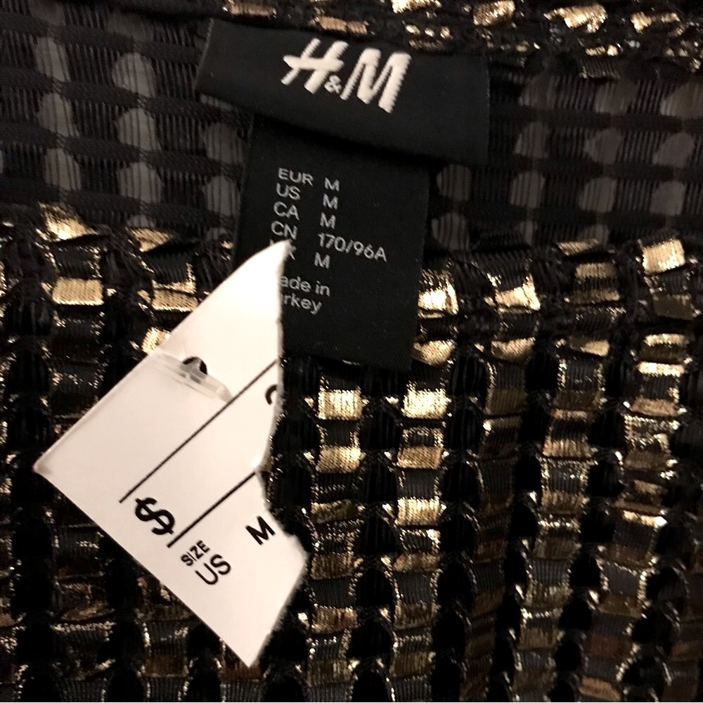 H&M Gold Mesh Top - Picture 4 of 5